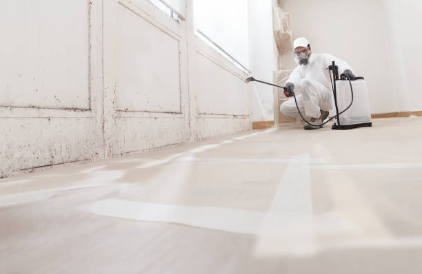 24/7 Emergency Commercial Mold Remediation experts in South Boston, MA